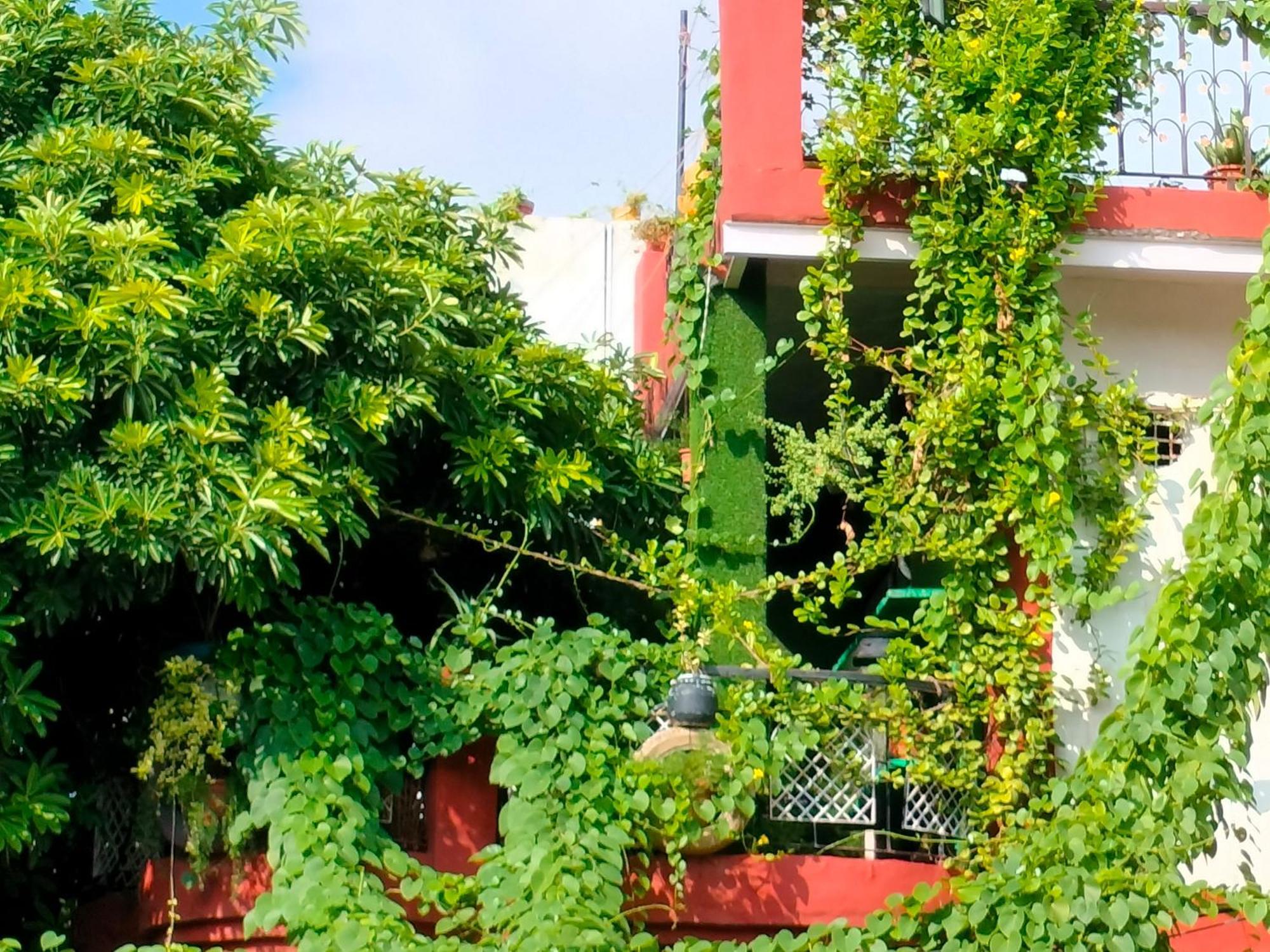 Kishan Home Stay Matura Exterior foto